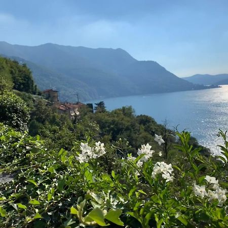 Apartment Casa Dono Il Lago Pognana Lario Ngoại thất bức ảnh