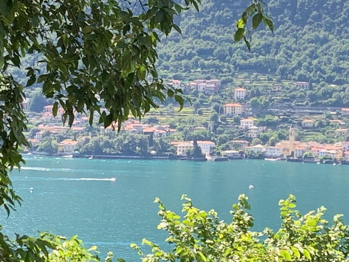 Apartment Casa Dono Il Lago Pognana Lario Ngoại thất bức ảnh