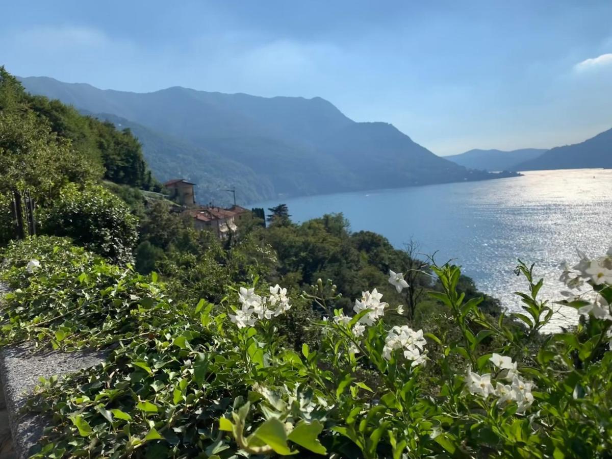 Apartment Casa Dono Il Lago Pognana Lario Ngoại thất bức ảnh