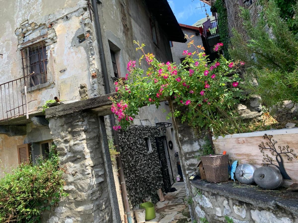 Apartment Casa Dono Il Lago Pognana Lario Ngoại thất bức ảnh